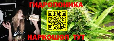 СК Краснодар