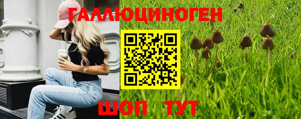 Псилоцибиновые грибы прущие грибы Ипатово