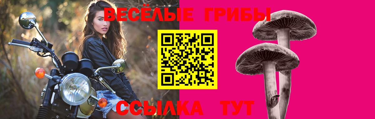 Ипатово  Псилоцибиновые грибы Magic Shrooms  Псилоцибиновые грибы GOLDEN TEACHER  Вход с VPN 
